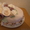 Эксклюзивные торты на заказ - Изображение #3, Объявление #486067