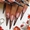 Наращивание ногтей в Твери 89040097321 - Изображение #4, Объявление #621017