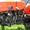 Минитрактор Уралец 220 с блокировкой дифференциала - Изображение #3, Объявление #1434621