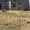 Продам дом и земельный участок в д.Малое Василево Кимрского района  - Изображение #4, Объявление #1714167
