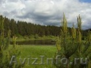 продам земельный участок на реке Тверца - Изображение #1, Объявление #100943