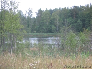 Дом -рядом озеро,лес - отличная рыбалка,охота! - Изображение #6, Объявление #358217