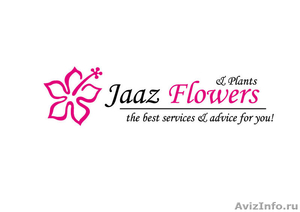 Jaaz Flowers & Plants - Изображение #3, Объявление #667968
